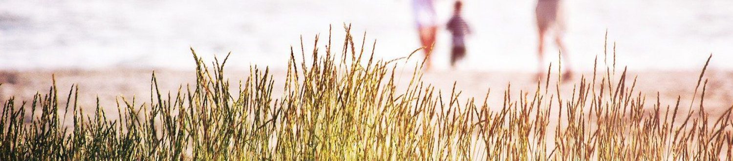sea-grass-nature-4847987 sea, grass, nature-4847987.jpg